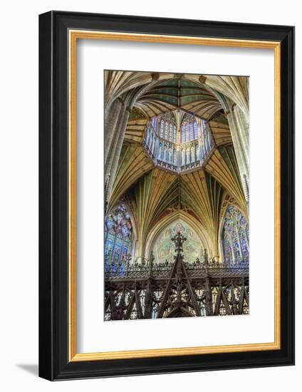 Europe, United Kingdom, England, Cambridgeshire, Ely, Ely Cathedral-Mark Sykes-Framed Photographic Print