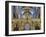 Europe, United Kingdom, England, County Durham, Durham, Durham Cathedral-Mark Sykes-Framed Photographic Print