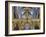 Europe, United Kingdom, England, County Durham, Durham, Durham Cathedral-Mark Sykes-Framed Photographic Print