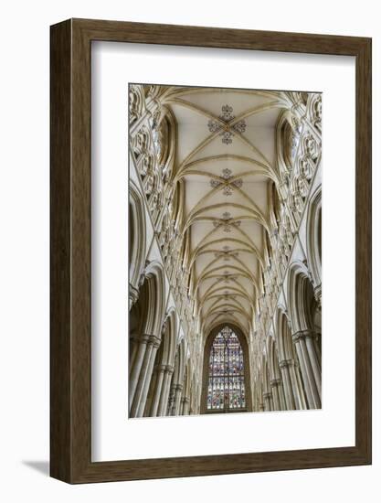 Europe, United Kingdom, England, East Yorkshire, Beverley, Beverley Minster-Mark Sykes-Framed Photographic Print