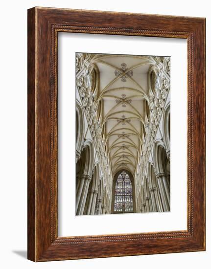 Europe, United Kingdom, England, East Yorkshire, Beverley, Beverley Minster-Mark Sykes-Framed Photographic Print