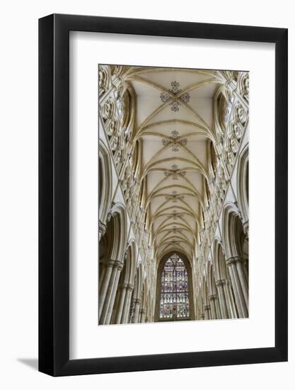 Europe, United Kingdom, England, East Yorkshire, Beverley, Beverley Minster-Mark Sykes-Framed Photographic Print