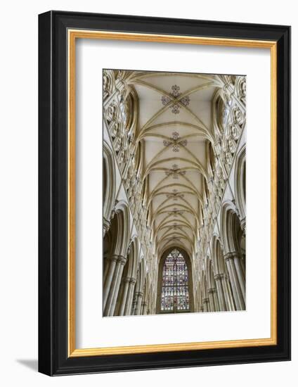 Europe, United Kingdom, England, East Yorkshire, Beverley, Beverley Minster-Mark Sykes-Framed Photographic Print