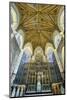 Europe, United Kingdom, England, Lancashire, Lancaster, Lancaster Cathedral-Mark Sykes-Mounted Photographic Print