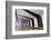 Europe, United Kingdom, England, Middlesex, London, Kings Cross Station-Mark Sykes-Framed Photographic Print