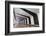 Europe, United Kingdom, England, Middlesex, London, Kings Cross Station-Mark Sykes-Framed Photographic Print