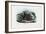 European Adder, 1863-79-Raimundo Petraroja-Framed Giclee Print