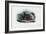 European Adder, 1863-79-Raimundo Petraroja-Framed Giclee Print