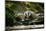 European Badger Shaking and Splashing Water Drops Around-Stanislav Duben-Mounted Photographic Print