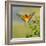 European Bee-Eater (Merops Apiaster) Outdoor-mirceab-Framed Photographic Print