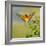 European Bee-Eater (Merops Apiaster) Outdoor-mirceab-Framed Photographic Print