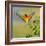 European Bee-Eater (Merops Apiaster) Outdoor-mirceab-Framed Photographic Print