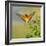 European Bee-Eater (Merops Apiaster) Outdoor-mirceab-Framed Photographic Print