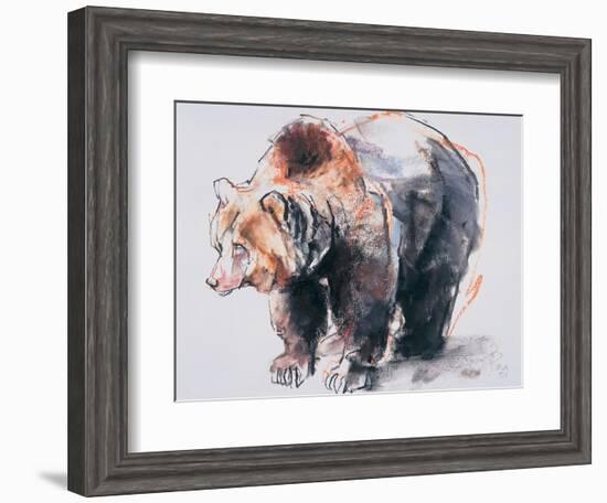 European Brown Bear, 2001-Mark Adlington-Framed Giclee Print