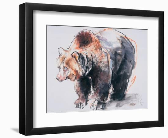 European Brown Bear, 2001-Mark Adlington-Framed Giclee Print