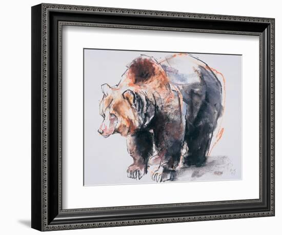 European Brown Bear, 2001-Mark Adlington-Framed Giclee Print