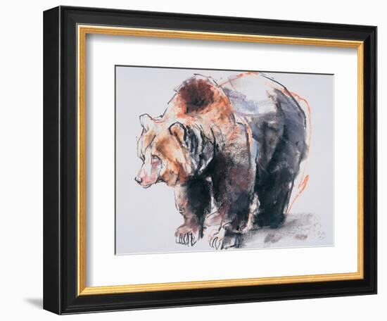 European Brown Bear, 2001-Mark Adlington-Framed Giclee Print