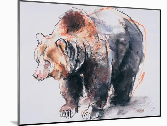 European Brown Bear, 2001-Mark Adlington-Mounted Giclee Print