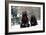 European Brown Bear Two Sitting in Snow-null-Framed Photographic Print