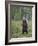 European Brown Bear (Ursos Arctos) Standing on Rear Legs, Kuhmo, Finland, July 2009-Cairns-Framed Photographic Print