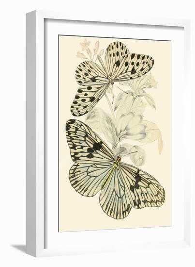 European Butterflies and Moths-James Duncan-Framed Art Print