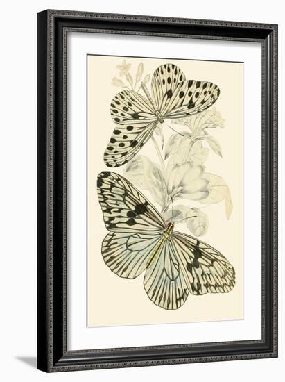 European Butterflies and Moths-James Duncan-Framed Art Print