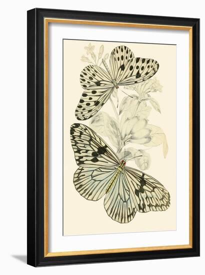 European Butterflies and Moths-James Duncan-Framed Art Print