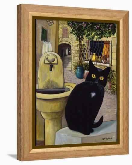 European Cat at St. Paul de Vence, France-Isy Ochoa-Framed Premier Image Canvas