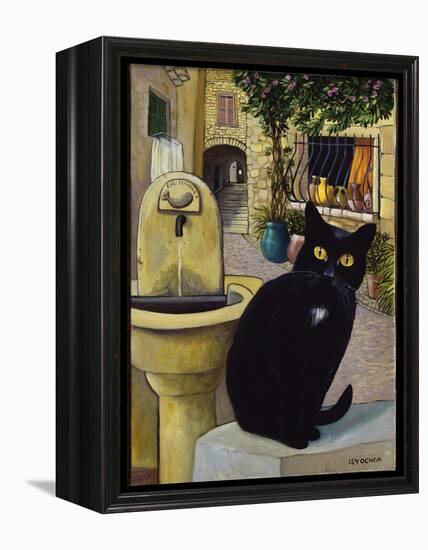 European Cat at St. Paul de Vence, France-Isy Ochoa-Framed Premier Image Canvas