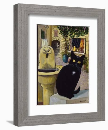 European Cat at St. Paul de Vence, France-Isy Ochoa-Framed Giclee Print