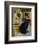 European Cat at St. Paul de Vence, France-Isy Ochoa-Framed Giclee Print