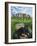 European Cat at Stonehenge/Great Britain-Isy Ochoa-Framed Giclee Print