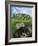 European Cat at Stonehenge/Great Britain-Isy Ochoa-Framed Giclee Print