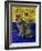 European Cat, Series I-Isy Ochoa-Framed Giclee Print