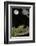 European - Common Tree Frog (Hyla Arborea) Sitting on Branch Covered in Lichen at Night-Philippe Clément-Framed Photographic Print