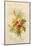 European Flowers Used in Making Perfumes-null-Mounted Photographic Print