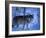 European Grey Wolf Male in Snow, C Norway-Asgeir Helgestad-Framed Photographic Print