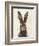 European Hare I-Ethan Harper-Framed Premium Giclee Print