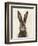 European Hare I-Ethan Harper-Framed Premium Giclee Print