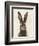 European Hare I-Ethan Harper-Framed Premium Giclee Print