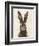European Hare I-Ethan Harper-Framed Premium Giclee Print