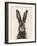 European Hare I-Ethan Harper-Framed Art Print