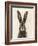 European Hare I-Ethan Harper-Framed Art Print