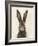 European Hare I-Ethan Harper-Framed Art Print