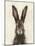 European Hare I-Ethan Harper-Mounted Art Print