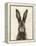 European Hare I-Ethan Harper-Framed Stretched Canvas