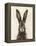 European Hare I-Ethan Harper-Framed Stretched Canvas