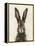 European Hare I-Ethan Harper-Framed Stretched Canvas