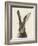 European Hare II-Ethan Harper-Framed Art Print