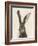 European Hare II-Ethan Harper-Framed Art Print